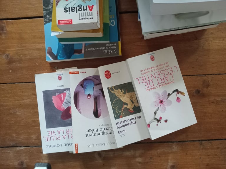 15 Books. Mostly in french. 