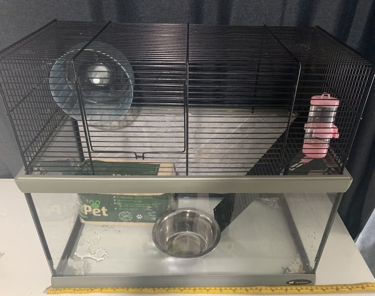 Glass Cage For Rodents 