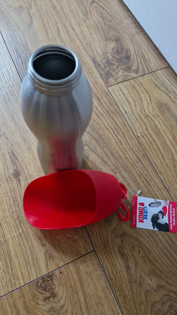 Kong h2o water bottle