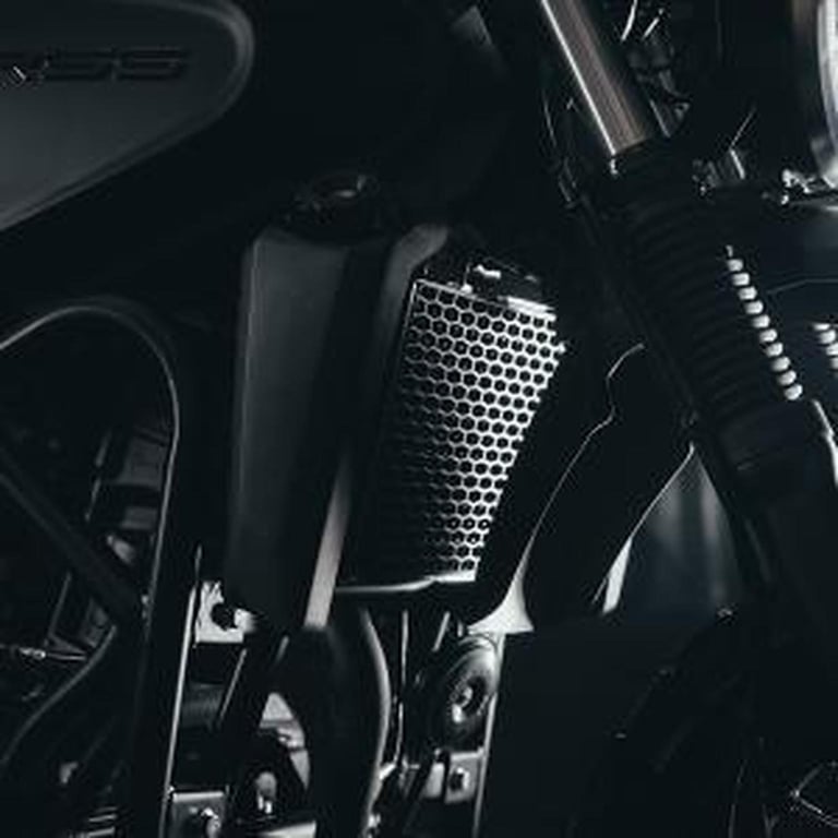 LEXMOTO RSS 125 SCRAMBLER 2025 Petrol Manual in Grey