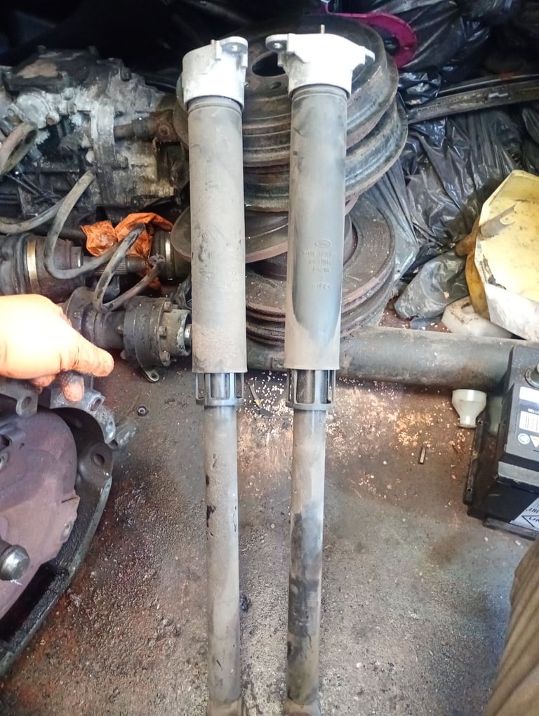 Ford fiesta 2019 rear shocks 