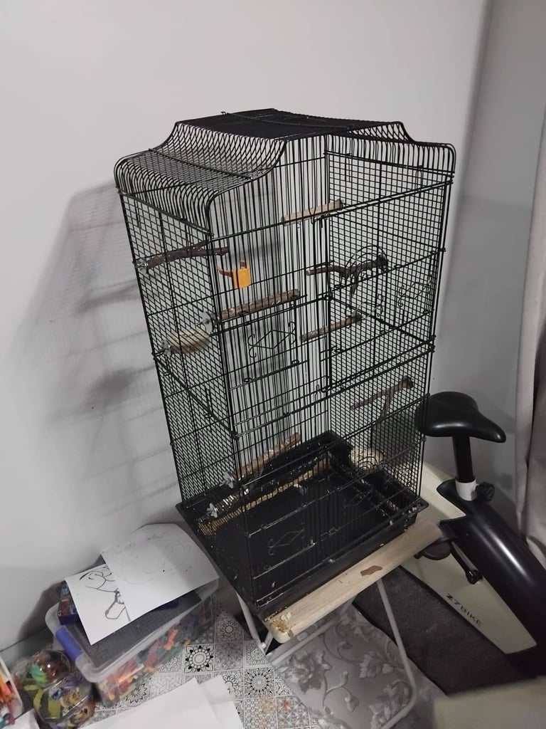 Big bird cages 