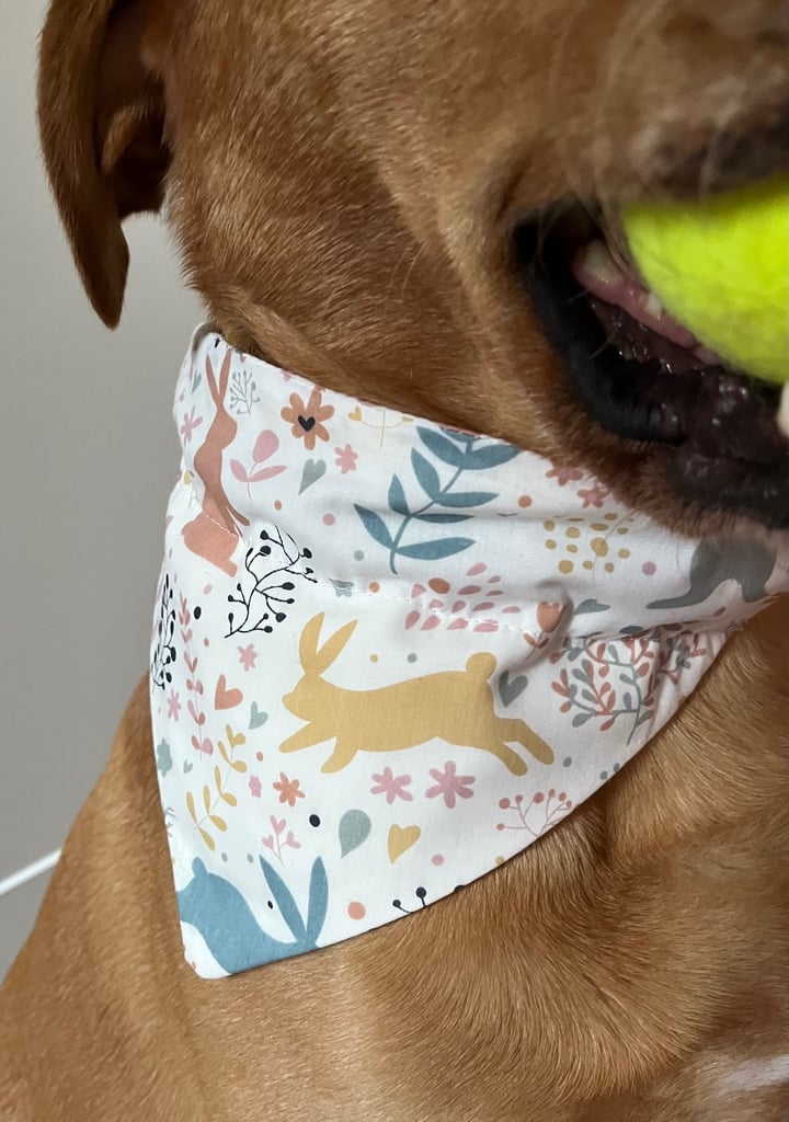 Over 150 dog bandanas