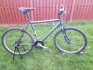 Falcon adults mountain bike, can deliver