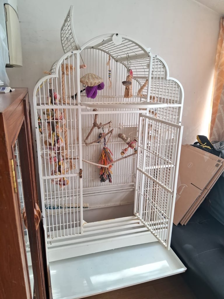 Extra large bird cage (5feet high and 2.5feet wide)