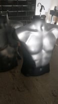 Male torso mannequin 