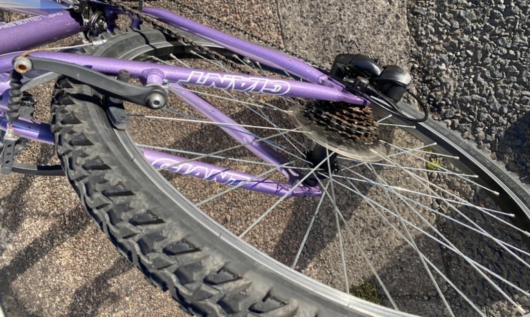 Ladies giant 17” bike