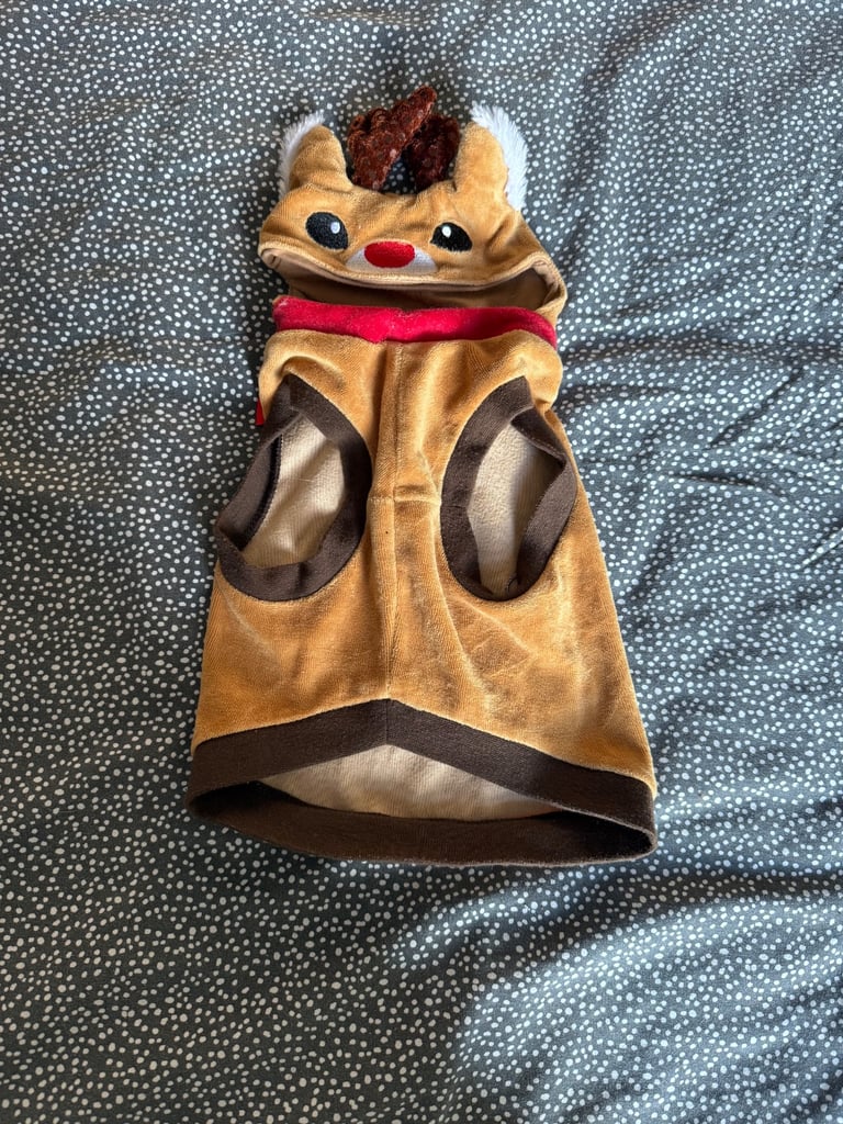 Reindeer For Hire Dog Costume