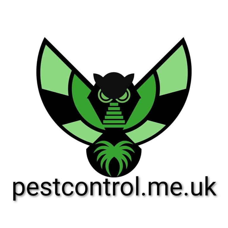 Local Pest Control – Fast, Safe & Affordable