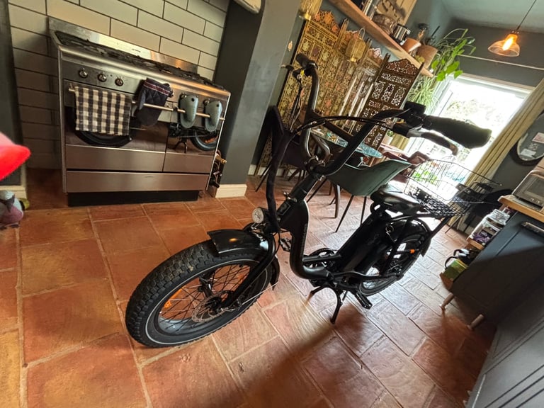 Electric Bike Rad Runner 2