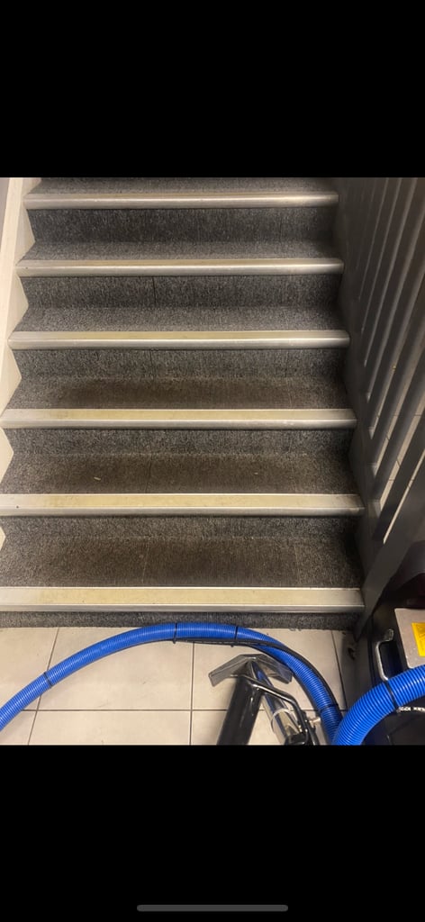Professional Carpet, Upholstery, End of Tenancy & Domestic Cleaning | DP Solutions Belfast