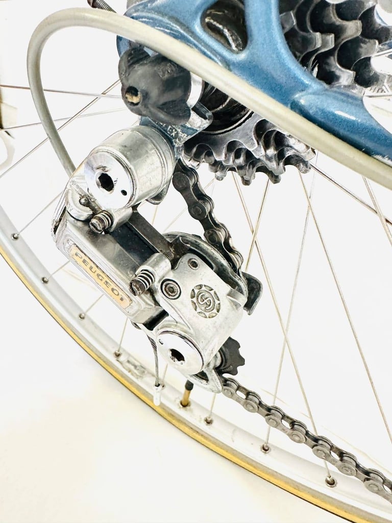 Ff  Pigeon VITUS Size/58 spDDd9a Original Spec Simplex Road Bike