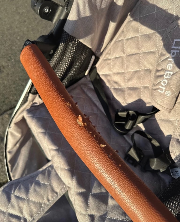 Pushchair from newborn 