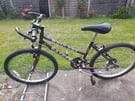 GIRLS TEENAGER YOUTH FALCON 24 INCH WHEELS 15 INCH FRAME 15 SPEED BIKE BICYCLE