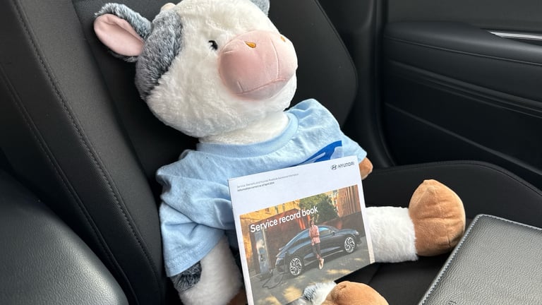 2024 Hyundai BAYON 1.0 TGDi Premium 5dr DCT Petrol Hatchback Hatchback Petrol Automatic