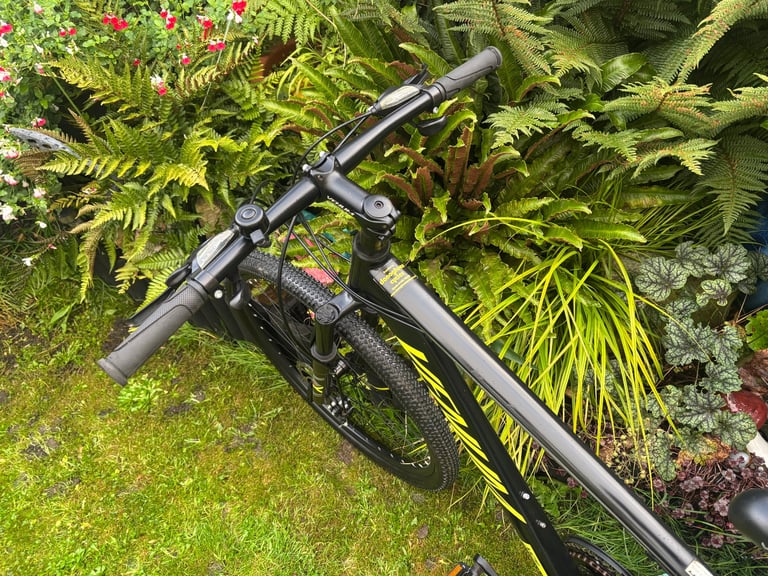 Mens mountain bike (like new) like carrera 
