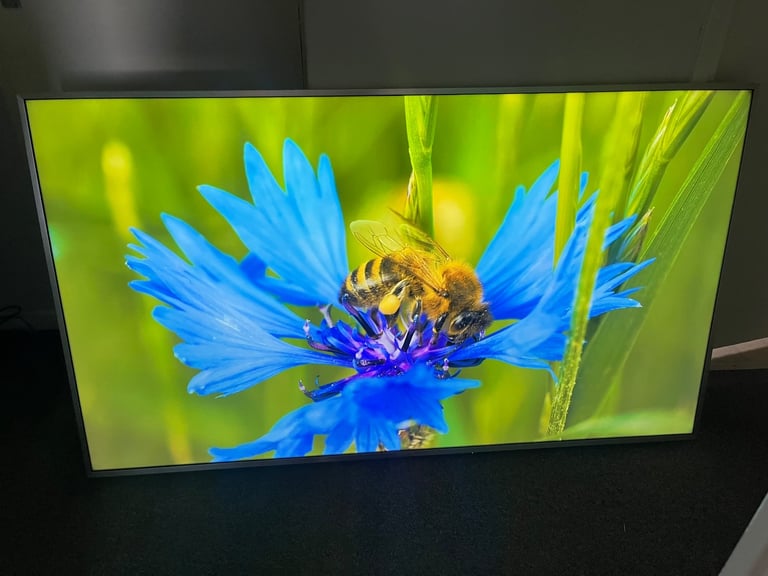 Panasonic 65″ 4K Ultra HD HDR Smart TV – Excellent Condition