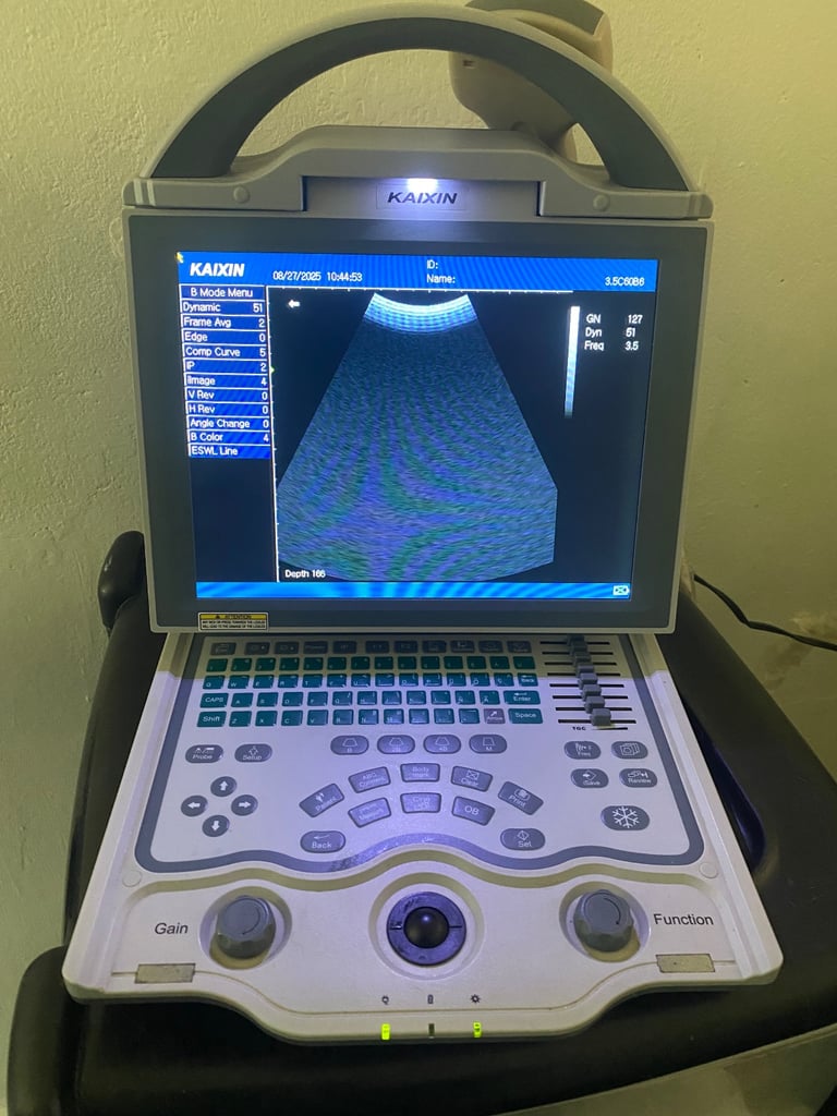 Dog and cat pregnancy scanner