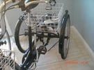 jorvik tricycle
