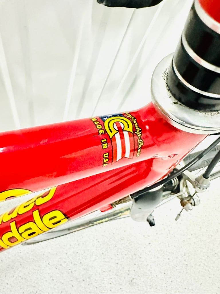 CANNONDALE CAAD SAECO Size/58 cm Team Road Bike Super Mint Condition 