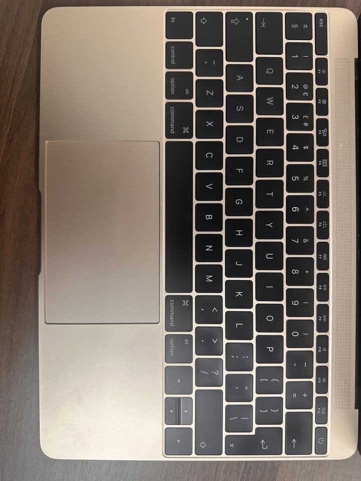 MacBook 12" 2015 Core M | 8GB RAM | 256GB SSD