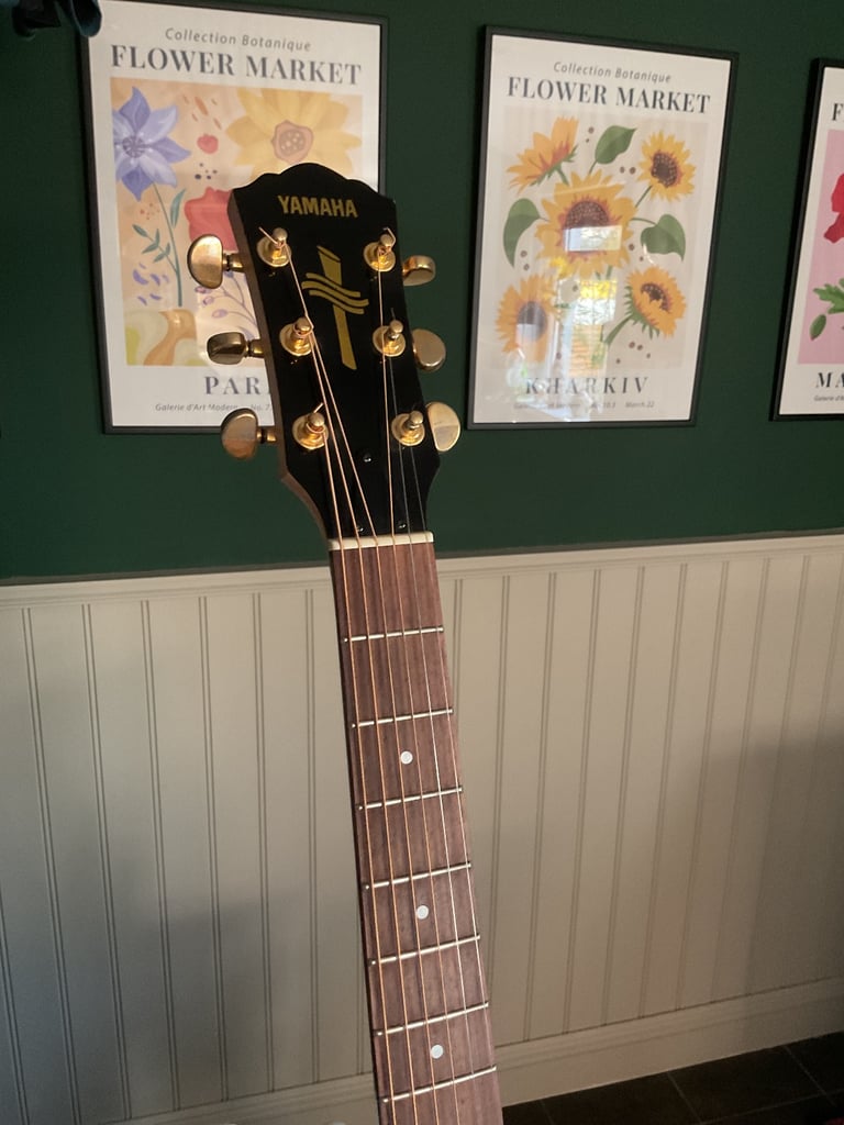 Yamaha AEX500 (plus freebie)