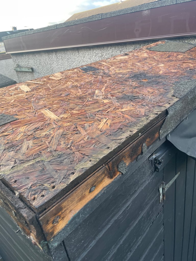 That Shed Repair Guy