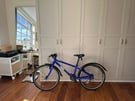 Frog 62 electric blue bicycle 
