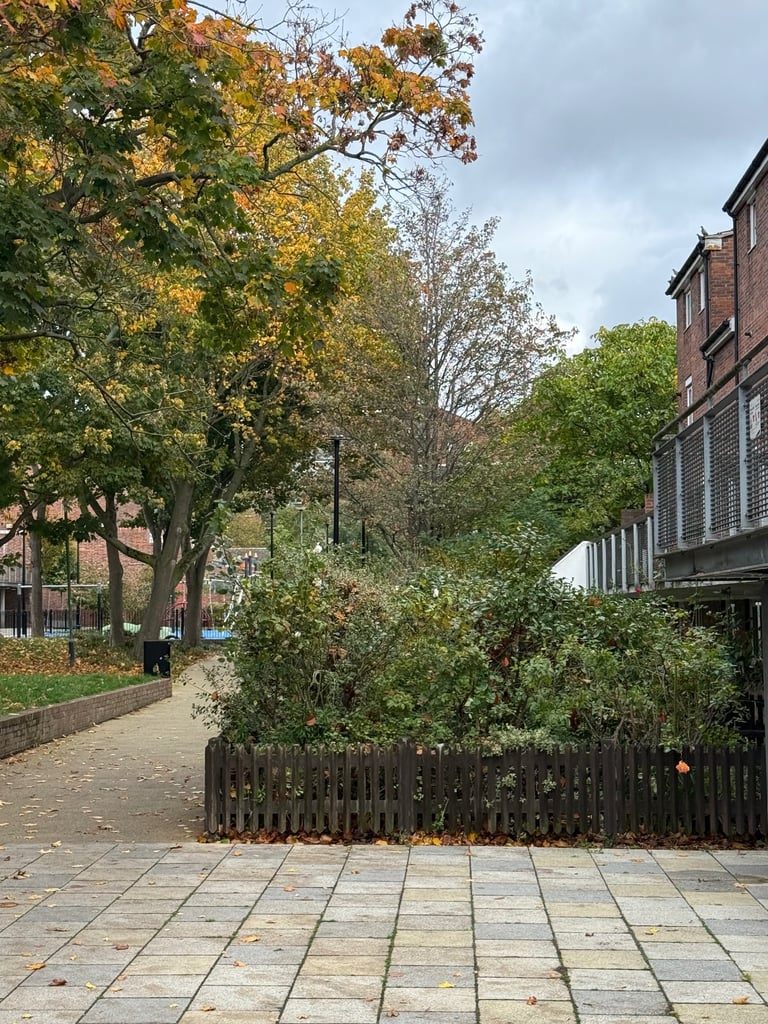 My one bedroom flat in London swap  only