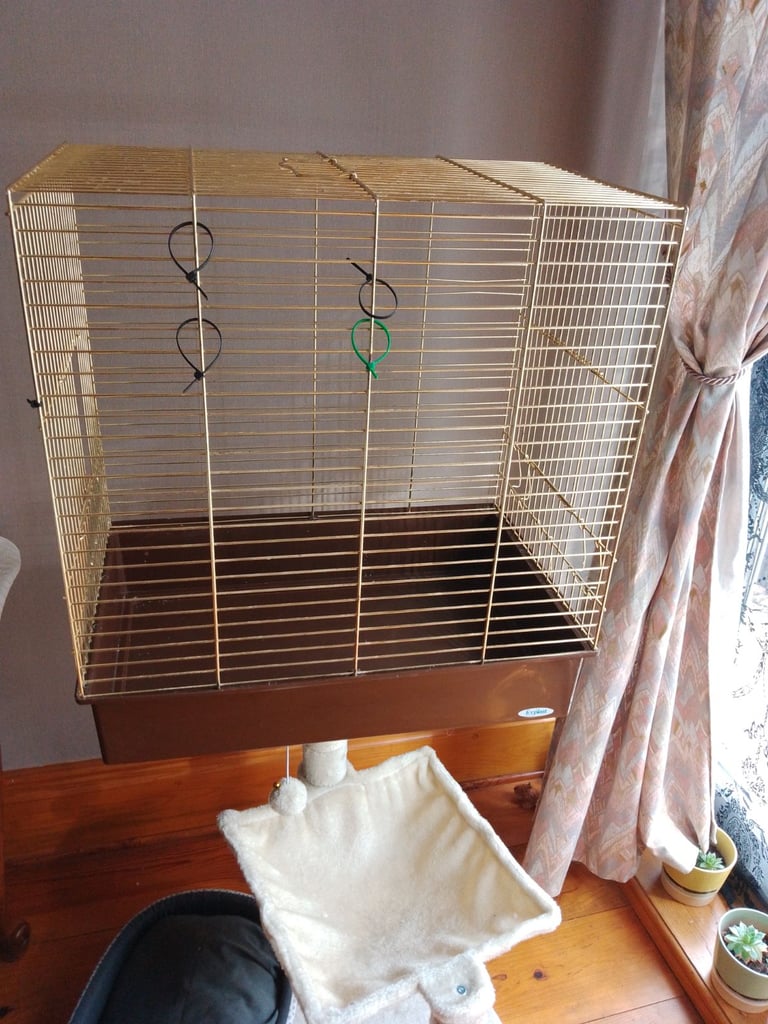 Bird cage 