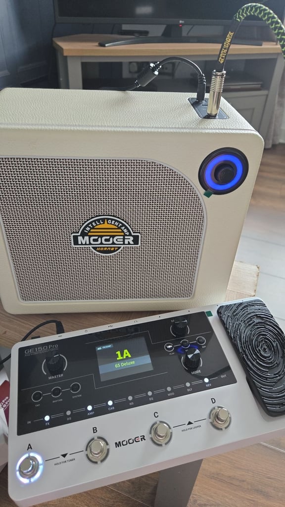 Ad new Mooer hornet 15i