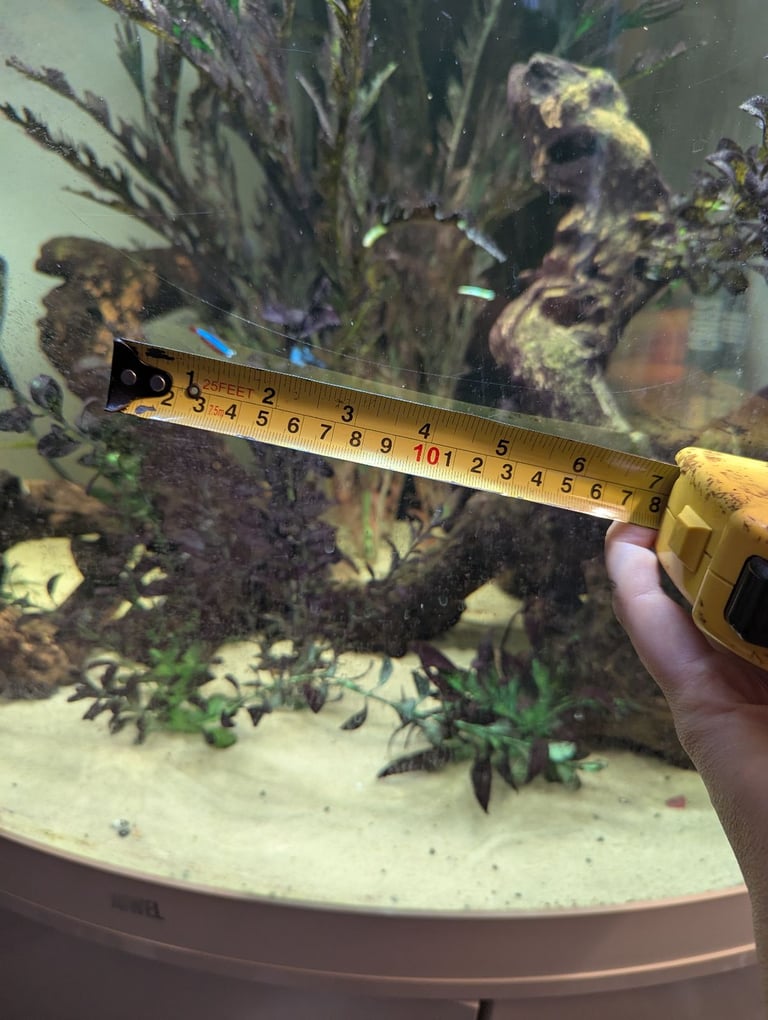 Juwel corner tank 
