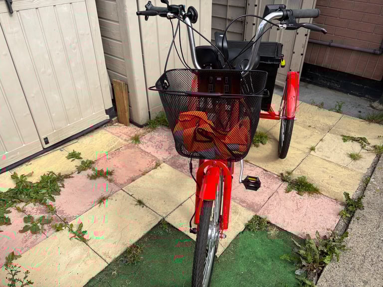 Power assist adult trike