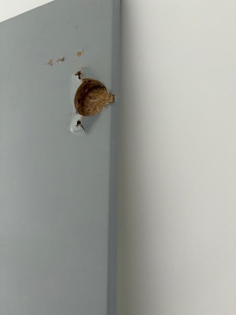 IKEA PAX WARDROBE DOORS (2) plus free damaged mirror door