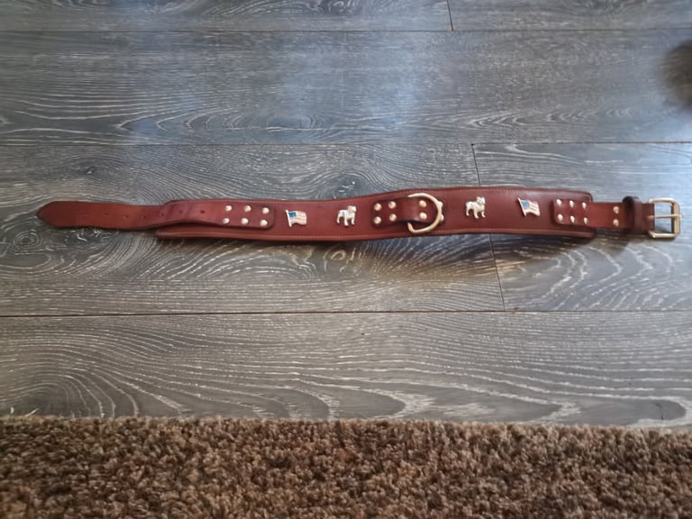 Quality real leather padded collar 