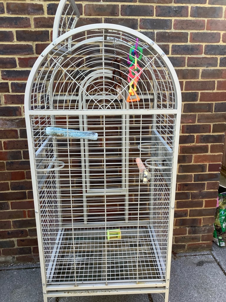 Bird Small Animal Cage Parrot Macon Amazon African Grey