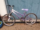 Used Child&#039;s Mountain Bike