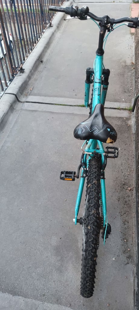 Bicycle (adult bike)