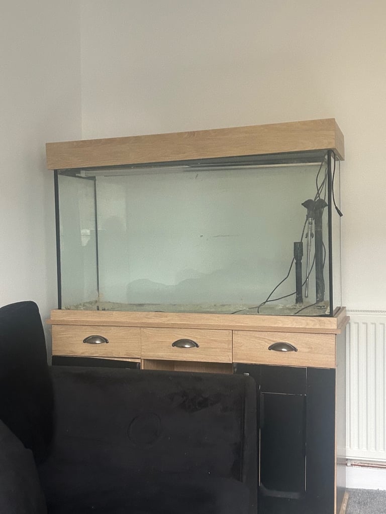 Roughly 250 litre fish tank 🎣🐟