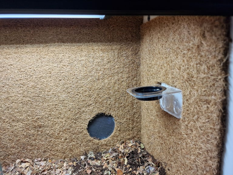 Brand new reptilife plastic vivarium 