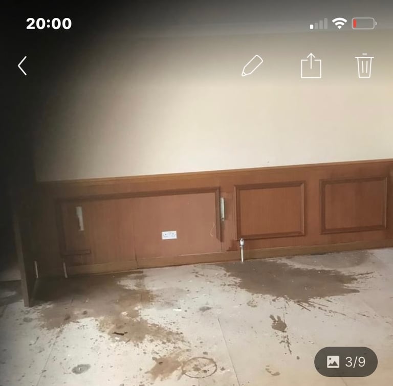 painter and decorator  xmas availability