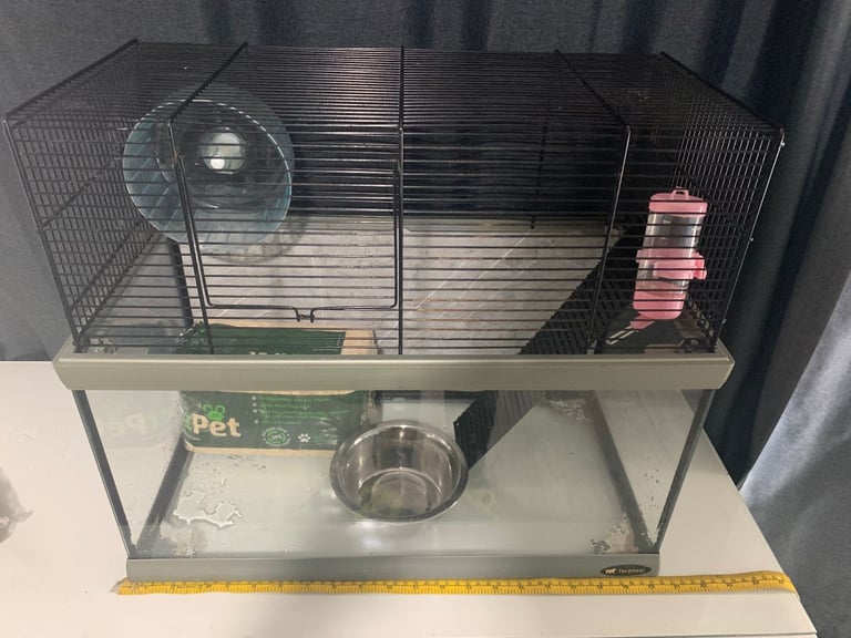 Glass Cage For Rodents 