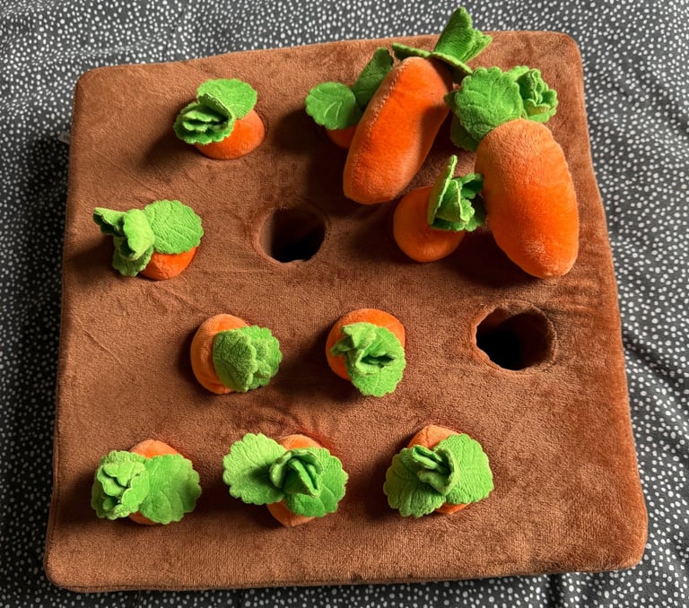 Interactive Treat-Hiding Toy for Dogs - Carrot Garden