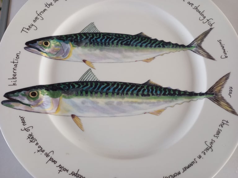 image for Jersey pottery mackerel plate
