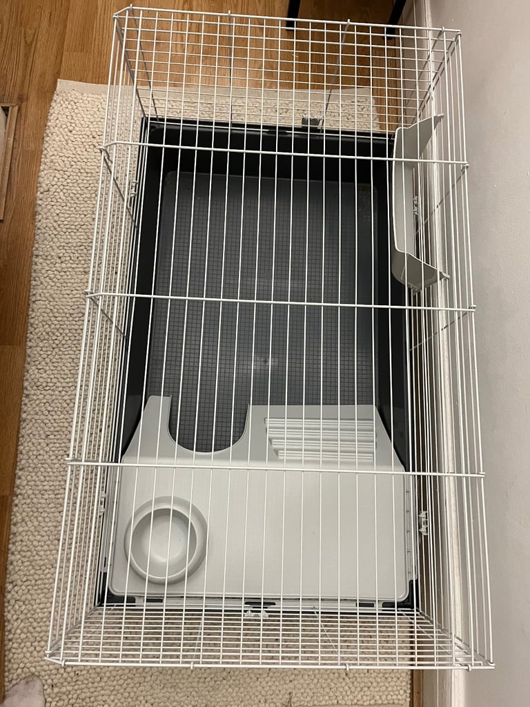 Guinea pig cage