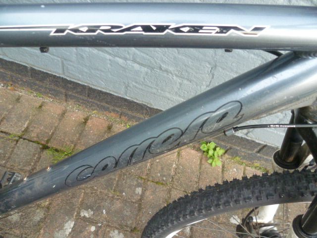 Men’s Carrera Kraken