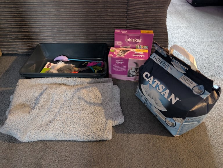 image for Kitten Starter Kit