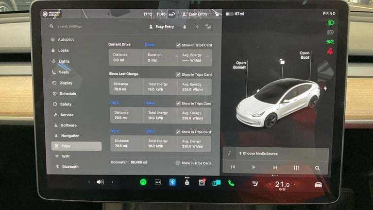 2021 Tesla Model 3 Standard Range Plus Auto RWD 4dr SALOON Electric Automatic