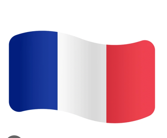 French Lessons 