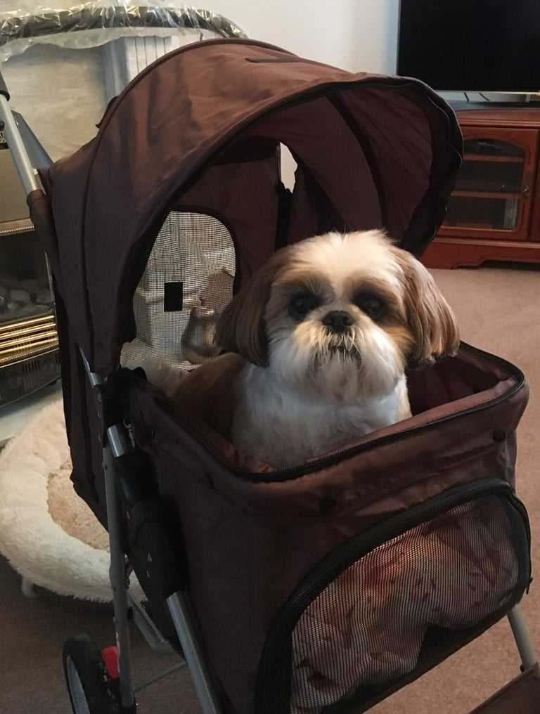 Dog Pram